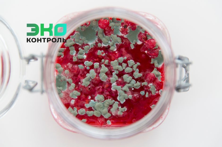 ��� ������ � ��������, �������� ��������: ������ � ������������