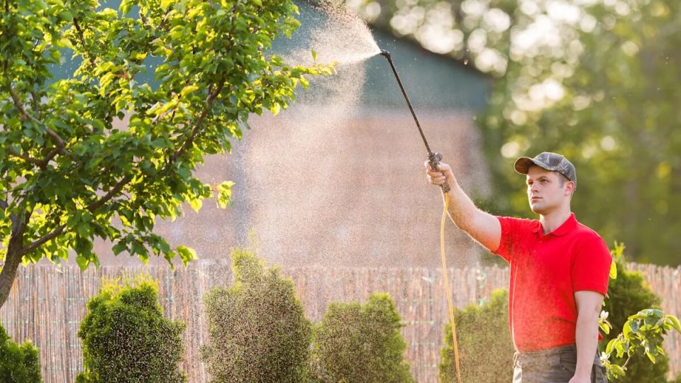 ��� ��������� ������������ �������� �������: ����� ��������� �� ���� �����