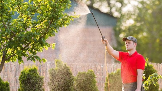 ��� ��������� ������������ �������� �������: ����� ��������� �� ���� �����