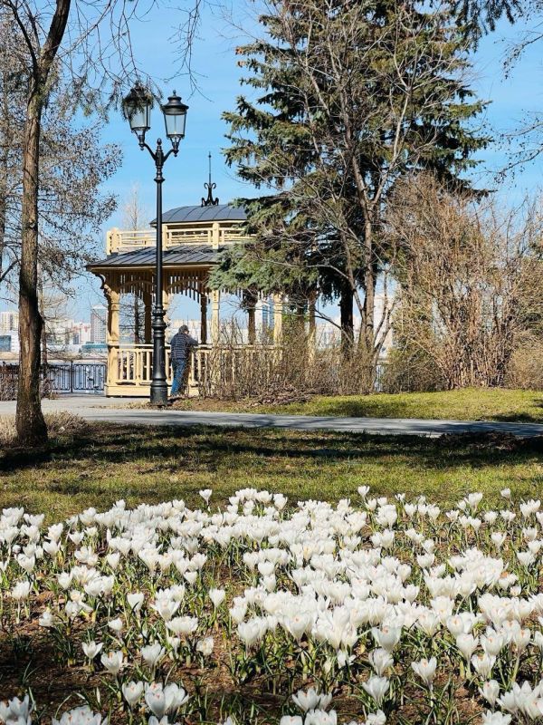 � ��������� ���� ����� ������������ ������ �������