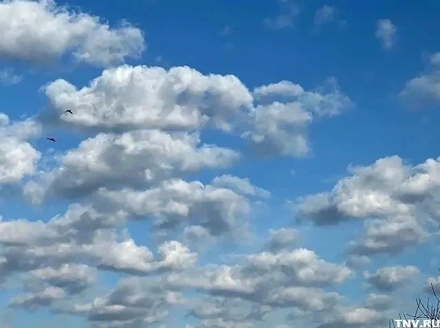 ���� � ������, ���� ��� ������: ����� ������ ���� ������������ � ������ ��������