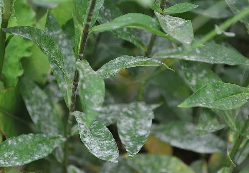 ������ ��� �������: ��� �������� �������� �� ��������� ���� � ����� ����