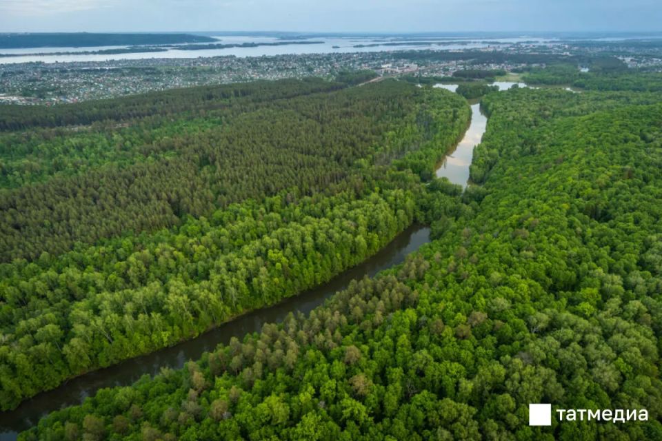 � ���������� � 20 ������ �������� �������� ���� ����� ������� ���� ����������