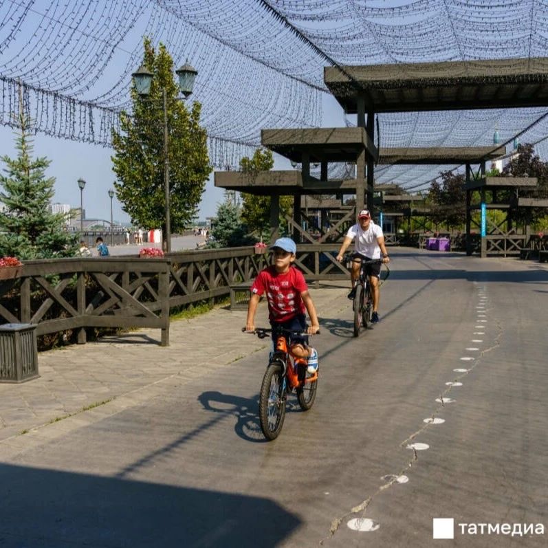 � ������ 25 ������ �������� ������� ����� ���� ������� ������� ���������