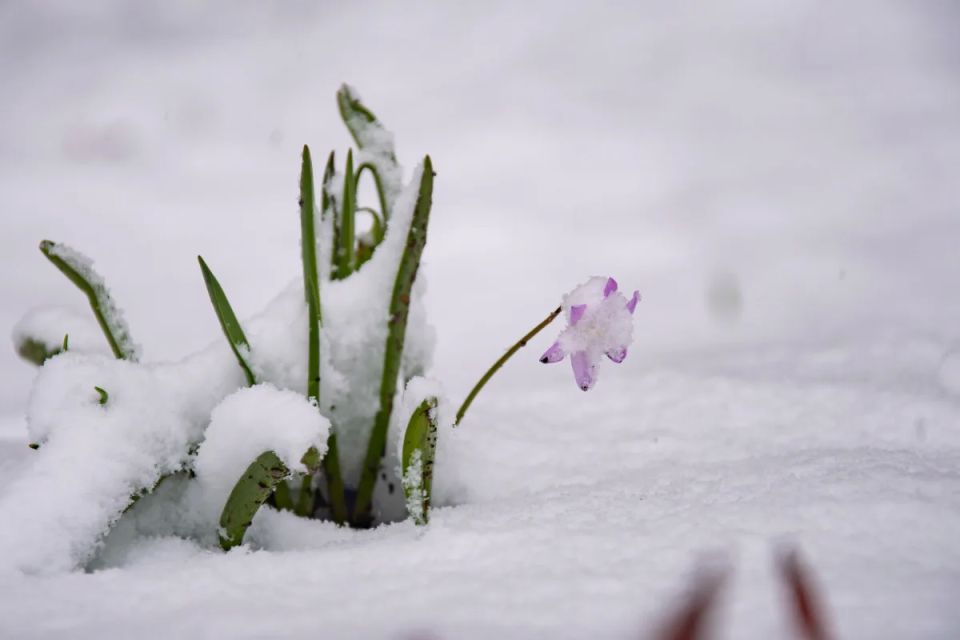 �������� ����������� � ������ ������, ������� ����� ������� ���� � ����� �������� ����� �������� �����������