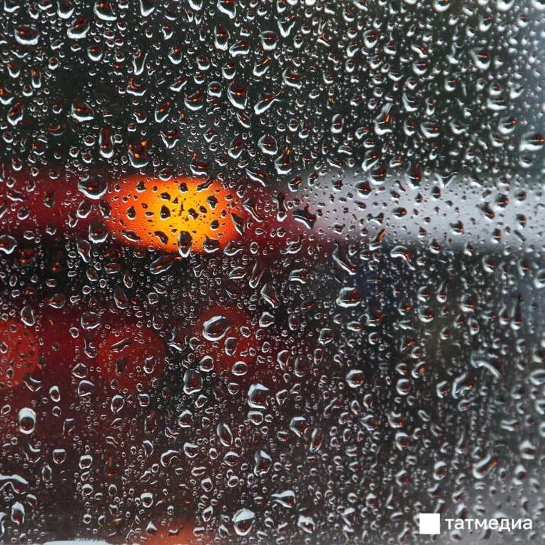 ����� � ����� 20 ������ � �������� ������� ���������� ������� ��������� ����� � ������� �����