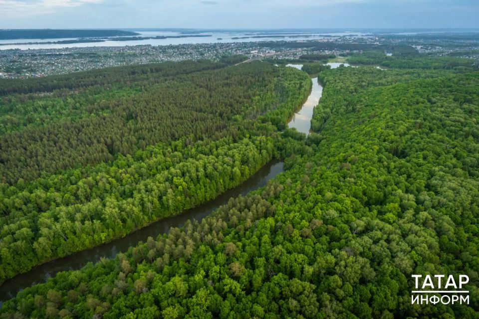 � ���������� �������� �������� ���� ����� ������� ���� ����������