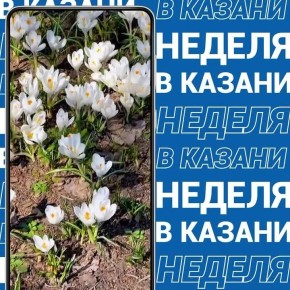 �� ���� #������������� ���� �������� �������� �����, � ��� ��� ����������� ��������� � ������������ ����