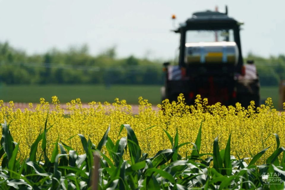 ����������� �� ���������� �� ��������� � ������� ���������� ���� ��������� ���������� �������������