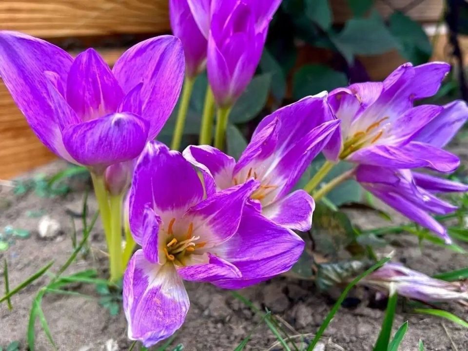 ������ ��������� ���� ������� � ������� ��� ��������� �� +14 ��������, ����� �������� �����