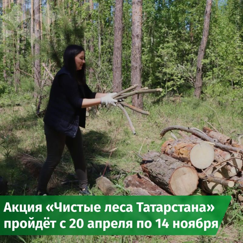 � ���������� ���������� ����� ������� ���� ����������