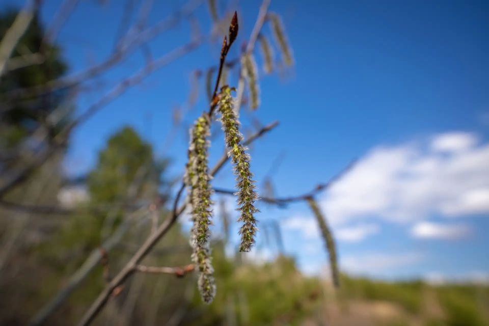 ��� ��������� �������� ��������