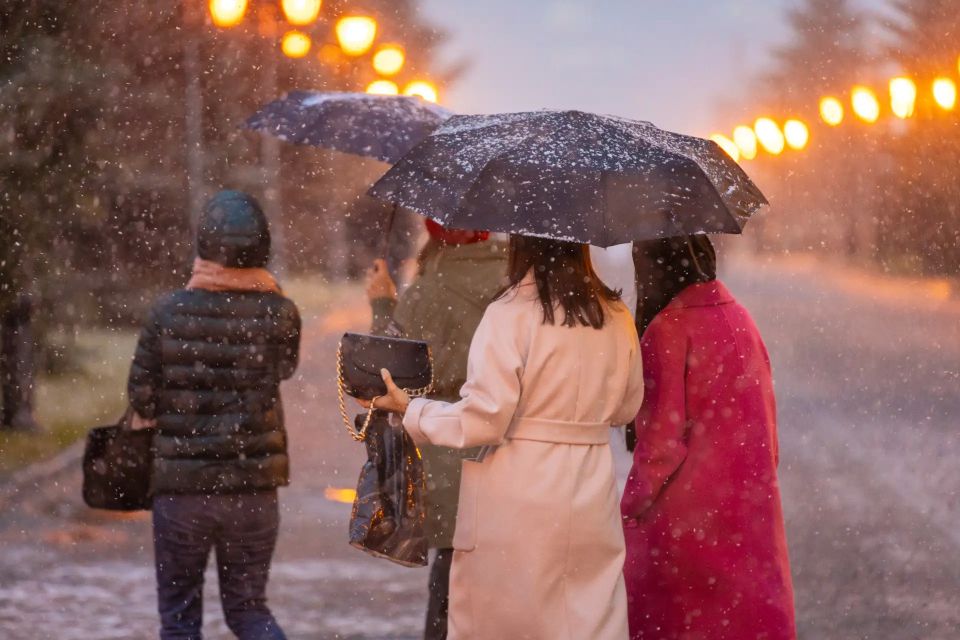 ���������� ����������� ��������� ��������� ����� �� ����� � ����������