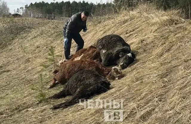 ��������� ������� ��� ����������� �������