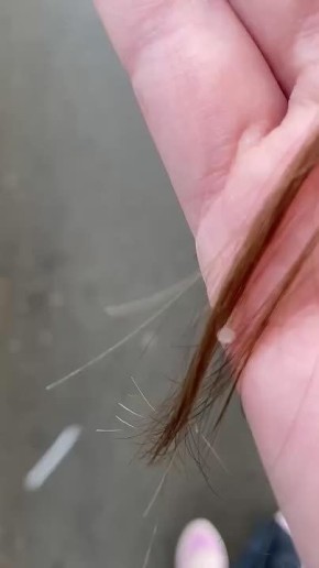 � ������ ���� ������ ����. ������ �������������� ������������, �������, �� ��������� ����������, ���������� � ������� ���������� ��� ������� �� ����� ������