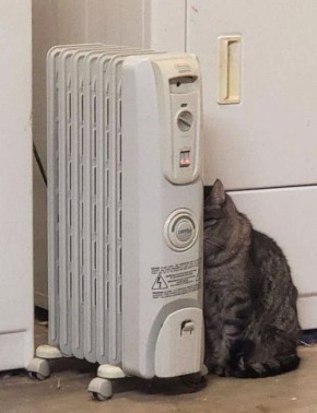 ����� ���������� ������������ ����� � ����������?