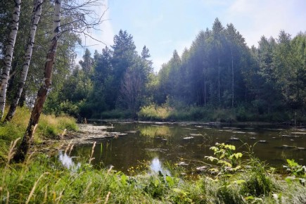 �� 50 ��� � ����� ���������� ������� 3133 ������ �������