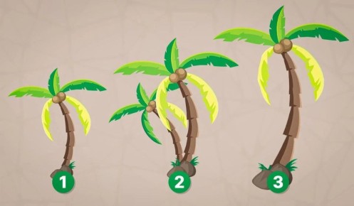 ����� ������� ����������� � ���? �������� ���� �� ��������