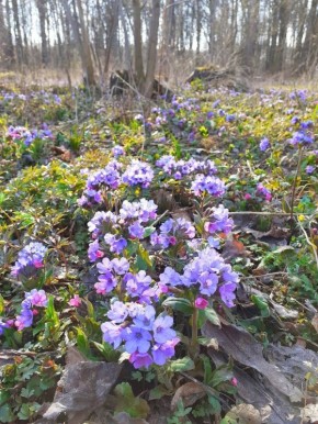 � ��� ����� � ���� ���� ���� +24