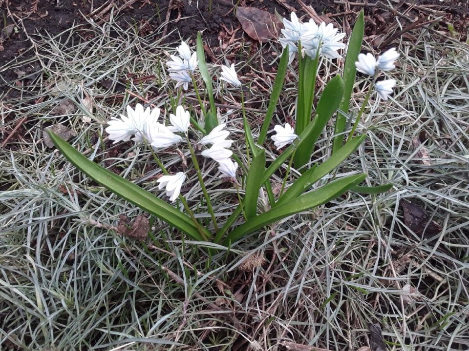 ����� �������� ������� �� �����: ��������� ������ � ����