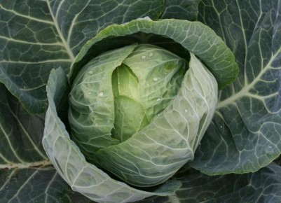 ��� ���������� ������������ �������������� ������ ���� � ����