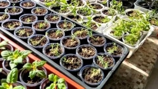 �� ����� ������� ���������: ������ �� ������ � ������������ � ������ ������ � �������