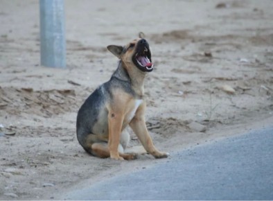 � ���������� ��������� ������� �������� ������ ���������������� �������� � ������� ��������� � ���������� ���������