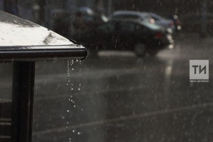 ������� ������ � ������ �� 24 ������ �� �������������� ��: