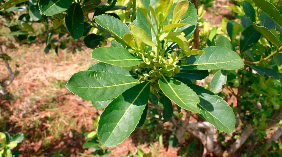 ����: ���������� ������� �� ����� �������