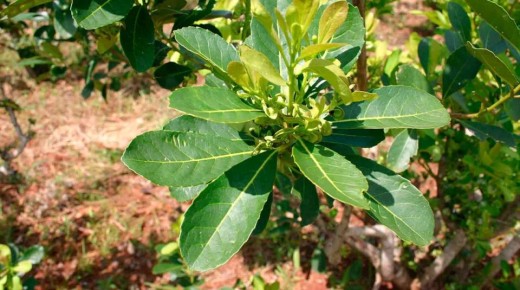 ����: ���������� ������� �� ����� �������