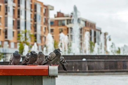 �� ����� ������ ������������ ������ � ������� � ����������� �� ������� ���������