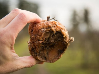 ��� �������� ����: ������ � �������� ������ � �������� ������ ���������