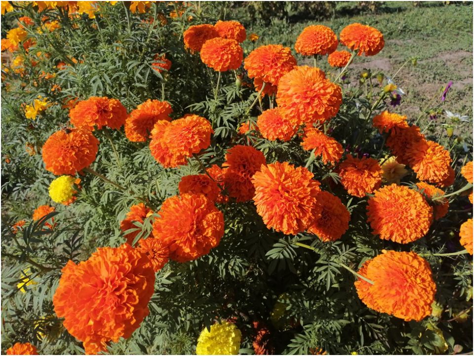 �������� � ���������: ������������� ������� ��������