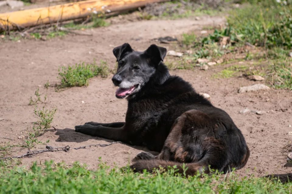 ���������� ������� ��������� ��� ��������� �������� � �� ��������� ����������� � ���������� ���������