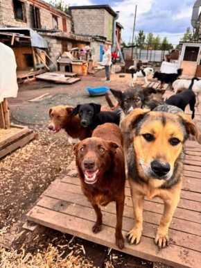 �������� ����������, ��� ������ �������� ������� ���� ���������