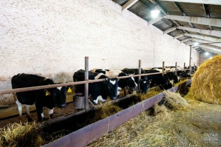 ������ ���������� ������ ������������ ���� ����� �� �������� �� ��������� ����� � ����������