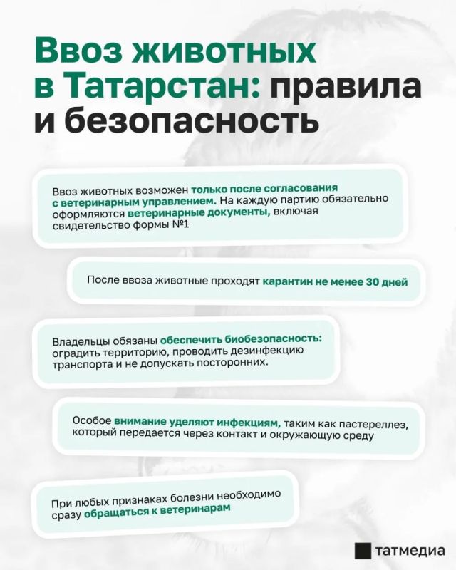 ������ �� ������ ������������ ���� ����� �� �������� �� ��������� ����� � ����������