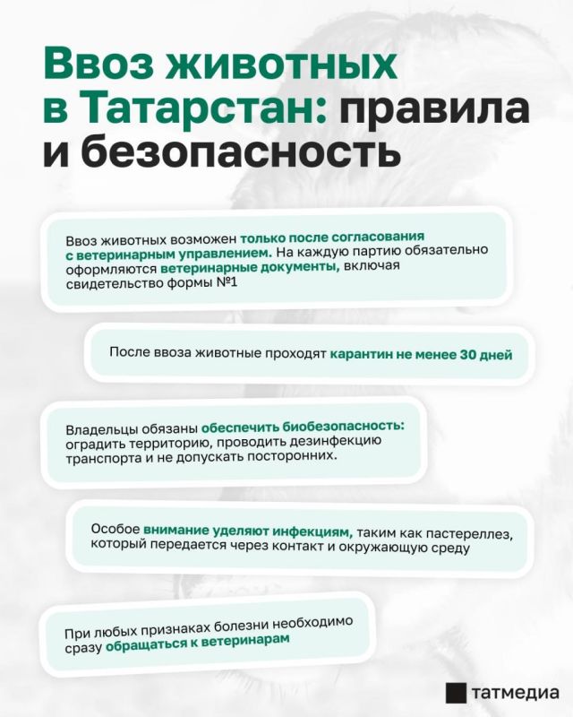 ������ �� ������ ������������ ���� ����� �� �������� �� ��������� ����� � ����������
