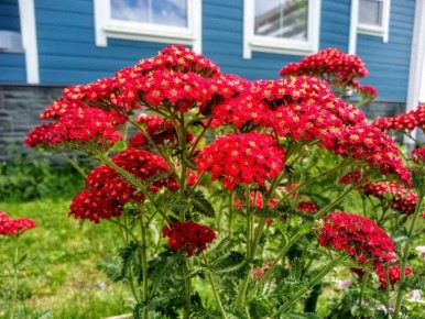 �������������: ������������� ������� ������ ����