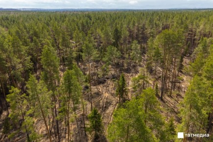 ��������� ����� ���� ������ �������� 1 ��� �������� � ����� 81-� ��������� ������