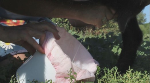 ��� ���������� � ������� ����� �� ����� �����: ������� ������� ���������