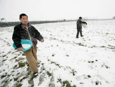 ������ ��������� ������� ��������� ���������: ����-������� ������� �� �����