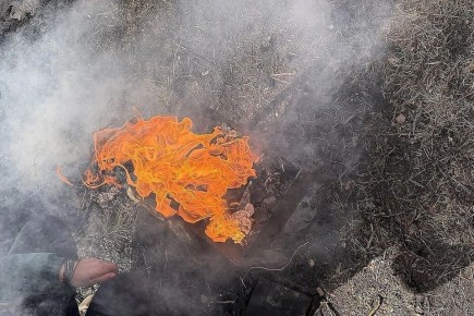 ������ ������� ��� ��������: ������������ �������� � ����� ��������������� ������������