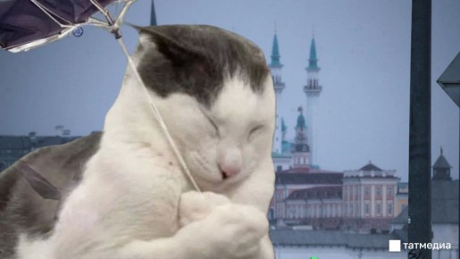 ���� �� ����� ������������� ������������ � ��������