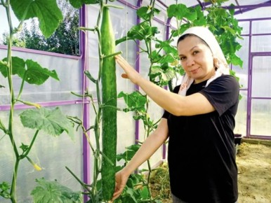 � ���������� ��������� ������ ��������� �����