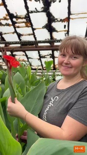 ������� � ������� #������������������ � ����� ���������