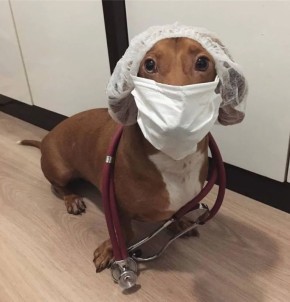 � ���������� ���������� ����� ������