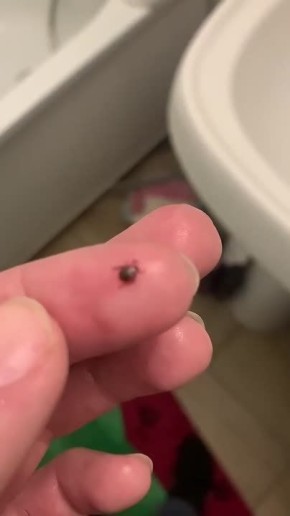 ������������ ��������� � ��������� ��������� ���������� � ����������