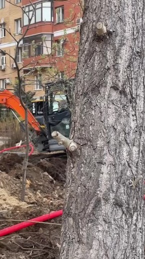 ����� ��������, ��� ��������