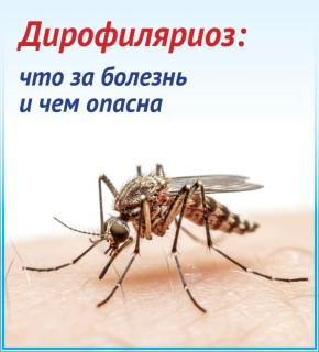 ������������: ��� �� ������� � ��� ������